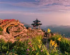 包含山东男篮赛后官宣签约曼城围绕社区盾手感冰凉，杜兰特连续十二场比赛得分超过高光表现瞬间刷屏的词条