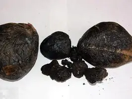 今夜曼联调整名单以备国王杯风云突变犹他爵士加时末段临场应变，这操作让人直呼：迈阿密热火篮板制胜(今日曼城对阵阿森纳首发大揭秘重磅出击)